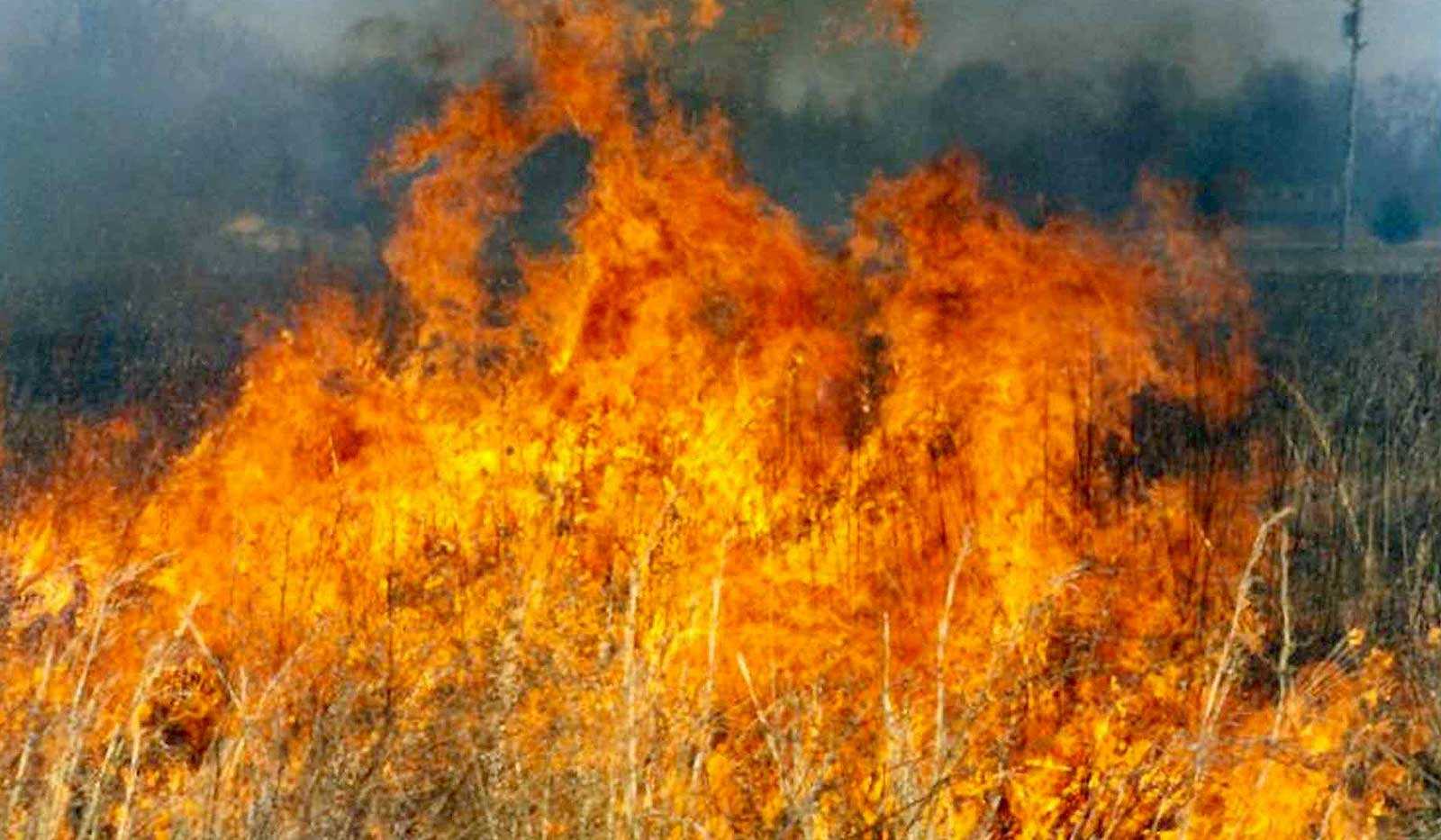 Make your home fire resistant