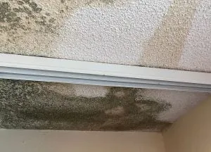 leaking roof repair ceiling damage
