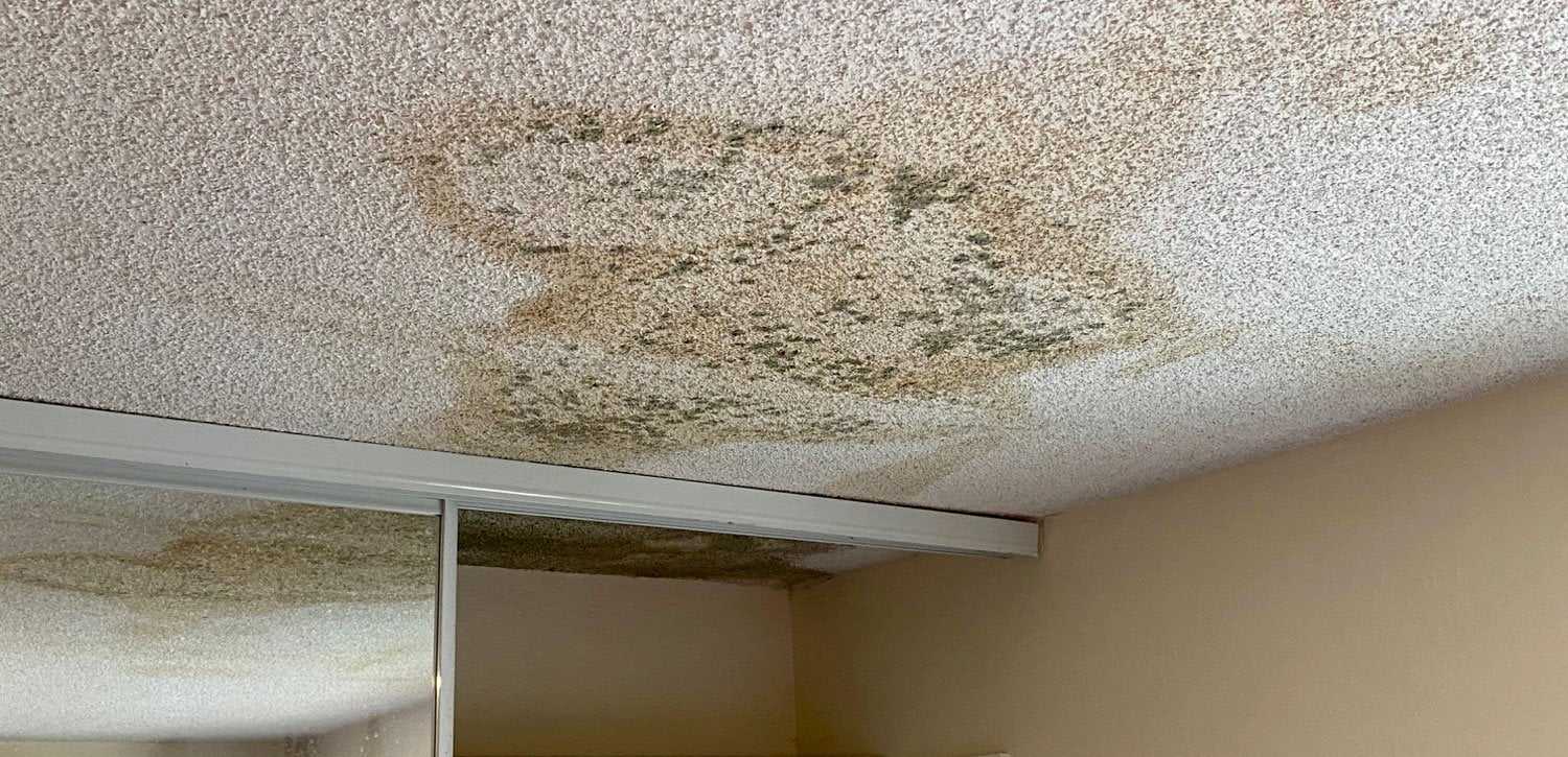 Roof Leak Repair